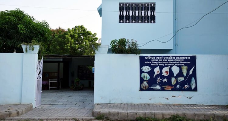 alice-garg-national-seashells-museum-jaipur-tourism-holidays-closed-on-timings