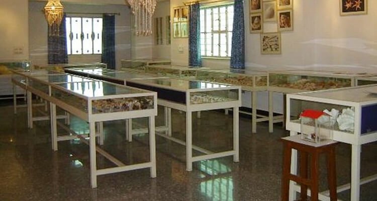 alice-garg-national-seashells-museum-jaipur-tourism-location-address