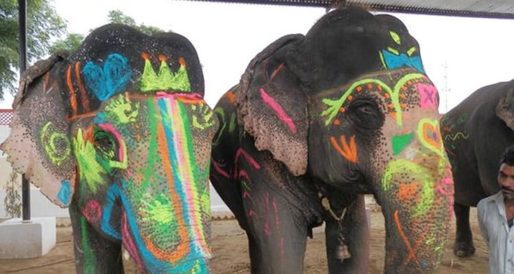 elefun-jaipur-tourism-location-address